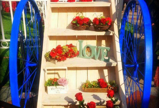 love xoxo flowers photography valentines photography on pumpernickel pixie