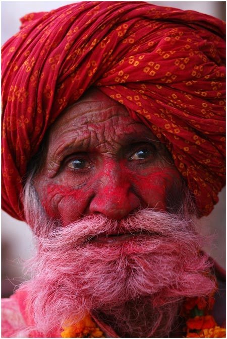 holi india festival of color and love pumpernickel pixie