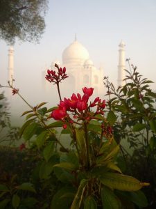 taj mahal agra india wonders of the world monument of love and beauty pumpernickel pixie