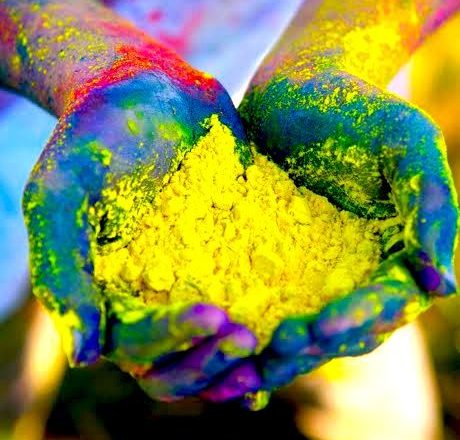 holi india festival of color and love pumpernickel pixie