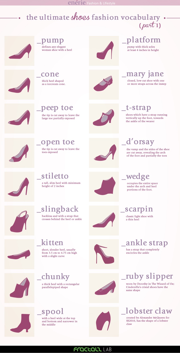 Bags Fashion Terms Types Names Infographics