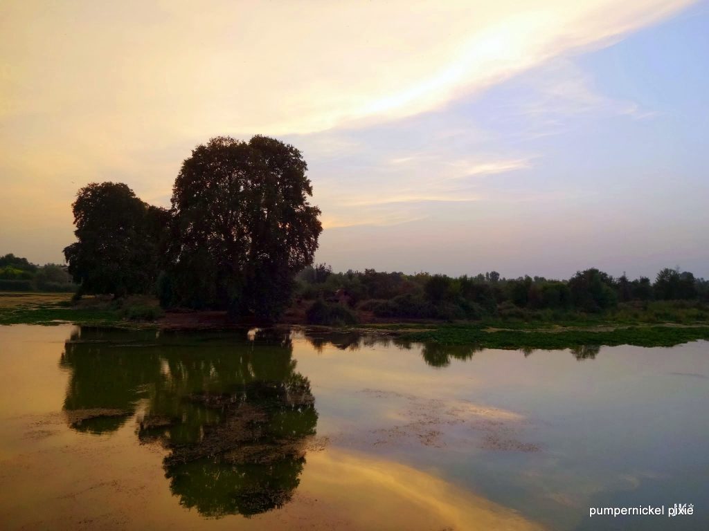 kashmir, srinagar, india, leh, ladakh, mountain, hills, nature, travel, zen, buddhist, monasteries, peace, blessed, beautiful, calm, happy, positive, gratitude, incredible india, woods, lakes, jammu, forest, paradise on earth, beauty, tradition, rugged, untouched, raw, indian army, personal, pumpernickel pixie