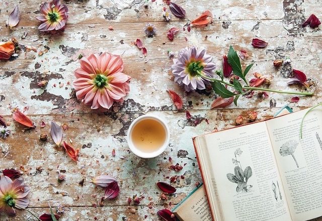 art design beauty books crafts diy fashion film music food health nutrition fitness owls photography quotes affirmations spirituality zen travel weddings yoga weekly picks from the internet goooglebun fridays weekly web round up on pumpernickel pixie by jyo