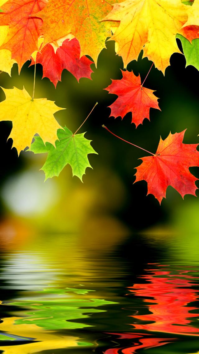 fall wallpaper for iphone 5