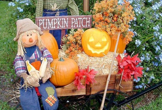 travel, fall, autumn, september, october, checklist, fall things to do, pumpkin patch, road trip, corn maze, hayride, fall activities, fall, apple picking, orchards, forest, walks, woods, carnival, fair, festival, fall events, road trip, countryside, vermont, camping, bonfire, stargazing, pumpernickel pixie