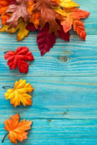 Sparkle #128: Fall Wallpapers for your Desktop - Pumpernickel Pixie