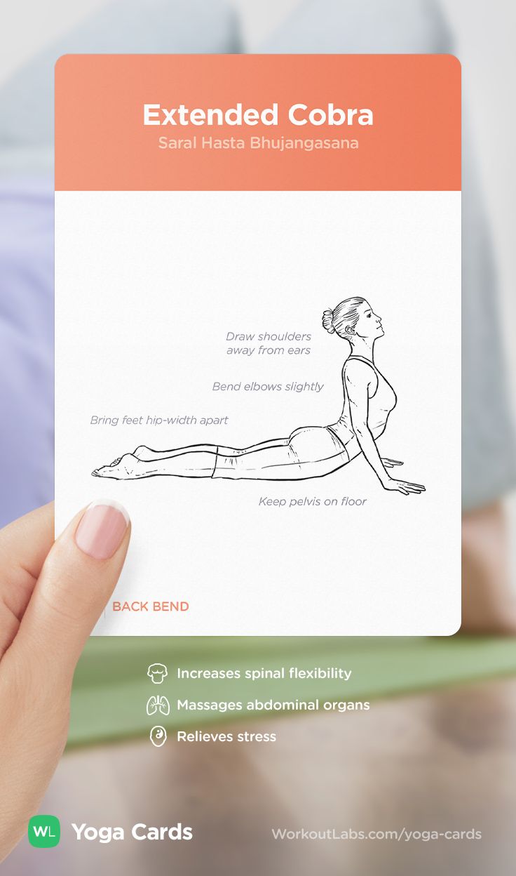 yoga, flexibility, fitness, stretching, asana, yoga pose, breathing exercises, yoga cards, mindfulness, yoga tips, posture, yoga sequence, yoga form, yoga benefits, yoga guide, yoga illustrations, yoga instructions, wl shop, cow pose, bow pose, cobra pose, fish pose, alternate nostril breathing, pranayam, pumpernickel pixie