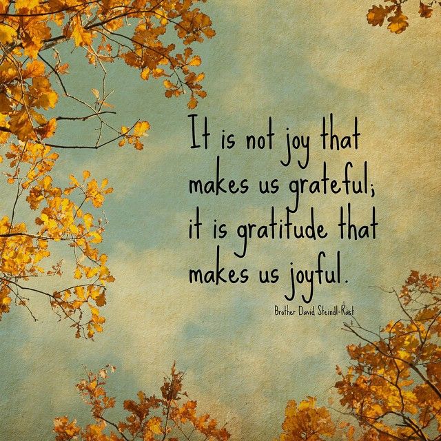 thanksgiving, thanks, giving, grateful, gratitude, thankful, blessed, positive, optimism, 2015, happiness, give, family, give thanks, blessings, fall, prayers, count your blessings, abundance, believe, positive living, pumpernickel pixie 