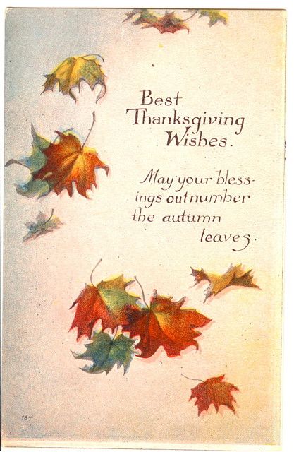 thanksgiving, thanks, giving, grateful, gratitude, thankful, blessed, positive, optimism, 2015, happiness, give, family, give thanks, blessings, fall, prayers, count your blessings, abundance, believe, positive living, pumpernickel pixie 