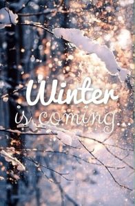 winter, year end, holidays, november, cold weather, sweather weather, chill, snow, christmas, new years, festive season, holiday season, 2015, 2016, hot chocolate, spiked coffee, knitwear, slow down, joyful, welcome winter, winter is coming, winter activity, winter objects, pumpernickel pixie