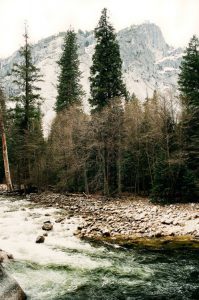 winter travel, forest, nature, wild, wilderness, mountains, pines, trees, winter walk, nature travel, travel inspiration, tumblr, wintergirl, pumpernickel pixie