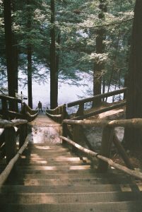 winter travel, forest, nature, wild, wilderness, mountains, pines, trees, winter walk, nature travel, travel inspiration, tumblr, wintergirl, pumpernickel pixie