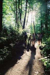 winter travel, forest, nature, wild, wilderness, mountains, pines, trees, winter walk, nature travel, travel inspiration, tumblr, wintergirl, pumpernickel pixie