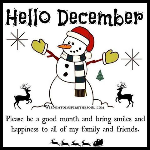 holiday quotes, holiday greetings, christmas quotes, christmas greetings, winter quotes, winter greetings, december quotes, december greetings, december, winter, christmas, holidays, believe, positive, happy, sparkle, pumpernickel pixie