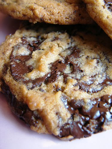 top chocolate cookie recipes, desserts, chocolate recipes, cookie recipes, chocolate chip cookies, chocolate cookies, chocolate, favorite chocolate cookie recipes, top chocolate cookie recipes, best chocolate cookie recipes, chocolate cookies round up, chocolate cookie overload, pumpernickel pixie