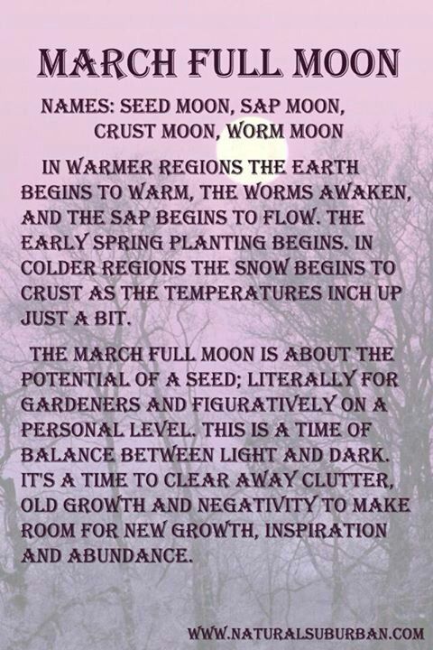 full moon, march moon, spring moon, seed moon, worm moon, moon magic, moon energy, full moon magic, full moon energy, intentions, believe, manifest, new beginings, de-clutter, spring, blessings, spring moon magic, jyo, pumpernickel pixie