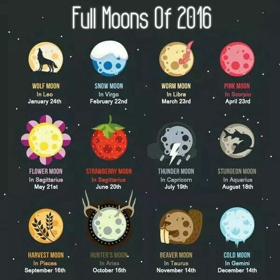 full moon, march moon, spring moon, seed moon, worm moon, moon magic, moon energy, full moon magic, full moon energy, intentions, believe, manifest, new beginings, de-clutter, spring, blessings, spring moon magic, jyo, pumpernickel pixie