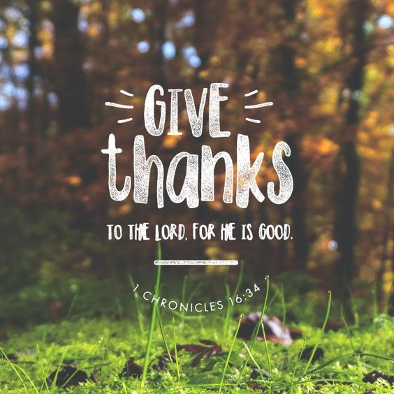 thanksgiving, give thanks, grateful, thankful, gratitude, happy, blessed, #thanksgiving 2016, thanksgiving recipes, thanksgiving pies, thanksgiving desserts, thanksgiving decor, thanksgiving table, thanksgiving traditions, thanksgiving games, thanksgiving cocktails, thanksgiving sides, thanksgiving sweaters, thanksgiving fashion, thanksgiving scent, fall scent, autumn scent, make your home smell like fall, thanksgiving playlist, thanksgiving music, thanksgiving tree, silver lining, count your blessings, look at the bright side, positive thinking, jyo, pumpernickel pixie