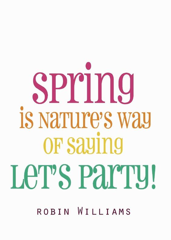 spring quotes, spring, spring equinox, international day of happiness, happy, grateful, thankful, positive, spring rituals, happiness rituals, de-clutter, organise, go green, gardening, plant something, letting go, let go, blooms, nature, outdoors, feel the sun, new beginnings, fresh starts, positive vibes, good energy, flourish, gratitude, affirmations, spring moon, spring magic, get your happy on, happiness, #day of happiness, #spring 2017, jyo, pumpernickel pixie 